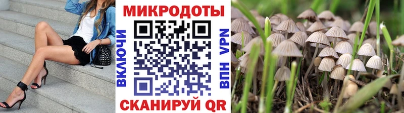 Псилоцибиновые грибы Cubensis хочу наркоту Куйбышев